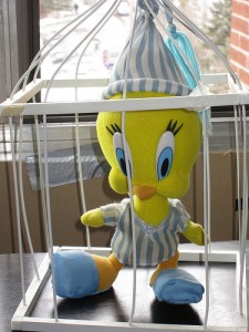 bird-cage.jpg