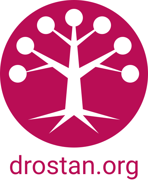 drostan-logo-presentation.png